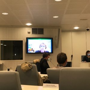 Vidéo de la présentation par Emilie Chalas du vœu sur la laïcité proposé par le groupe MTPS - Conseil métropolitain du 29/01/21