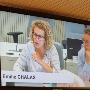 Vidéo de l'intervention d'Emilie Chalas sur la subvention d'équipement à la MC2