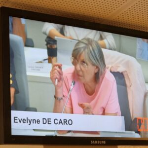 Vidéo de l'intervention d'Evelyne de Caro sur les subventions aux structures de l'ESS