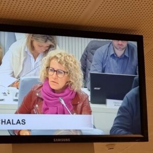 Vidéo de l'intervention d'Emilie Chalas sur l'avenir de Grenoble Habitat
