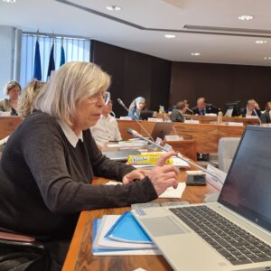 Intervention d'Evelyne de Caro lors de la présentation du rapport des représentants de la SEM PFI