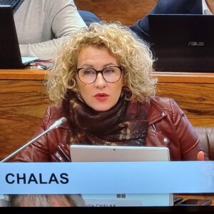 Intervention d'Emilie Chalas sur le dispositif de redynamisation des pôles commerciaux de proximité - Foncière commerciale