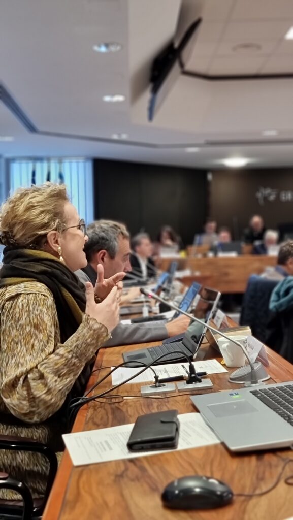 Intervention d'Emilie Chalas sur le dispositif d'accompagnement à la mise en place de la ZFE