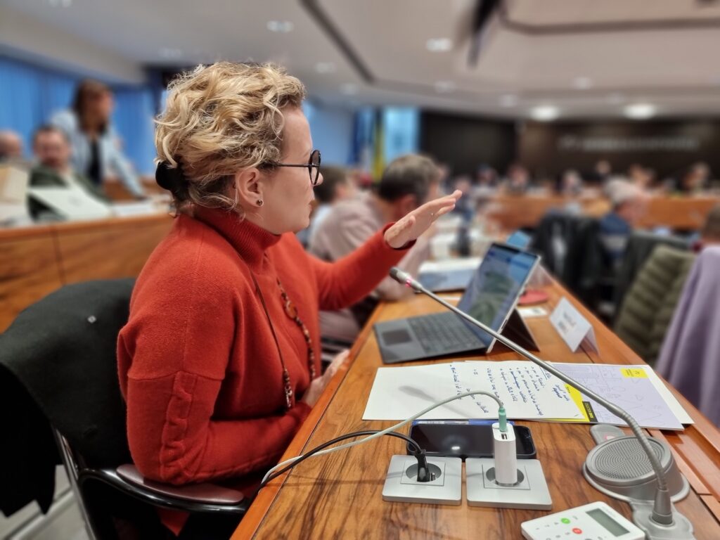 Emilie Chalas - Intervention fonds d'aide aux jeunes