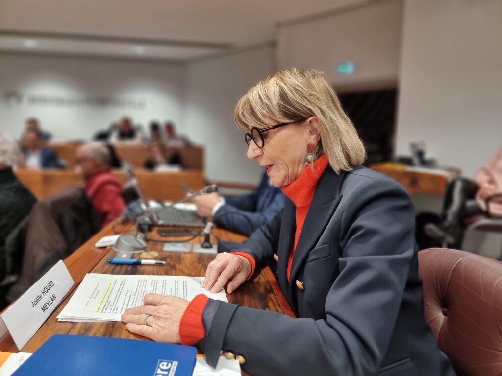 Joëlle Hours sur le PLH